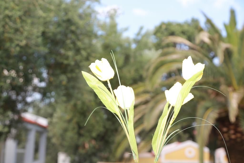Sea Sun Aparthotel Plomari Bagian luar foto